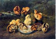 unknow artist chickens 197 oil painting on canvas